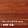 Forest Reds: Australian hardwood species swatch