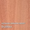 Brushbox: Australian hardwood species swatch