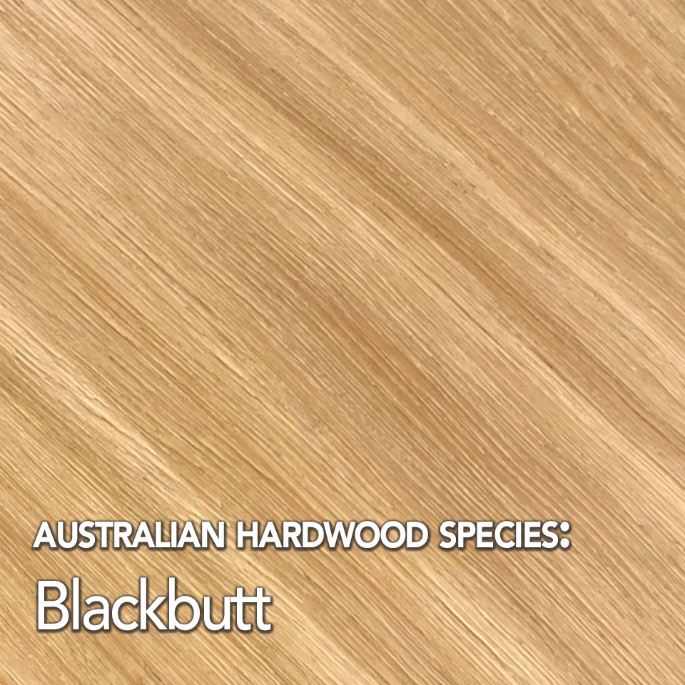 QLD Spotted Gum Solid Hardwood Flooring 80mm x 19mm - Mr Timber
