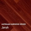 Jarrah: Australian hardwood species swatch