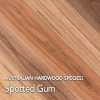 Spotted Gum hardwood species swatch