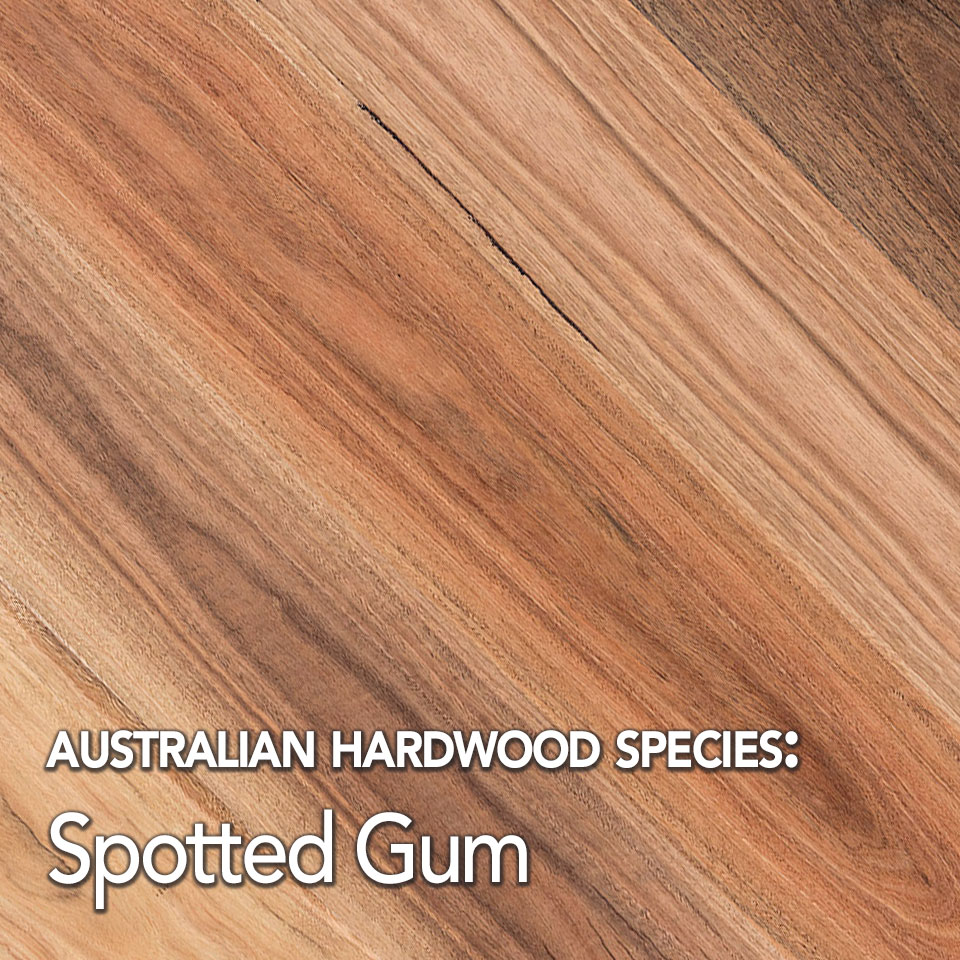 40 Wood Spotted gum hardwood flooring prices melbourne Prices