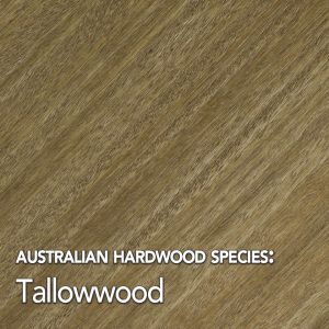 Tallowwood timber species swatch