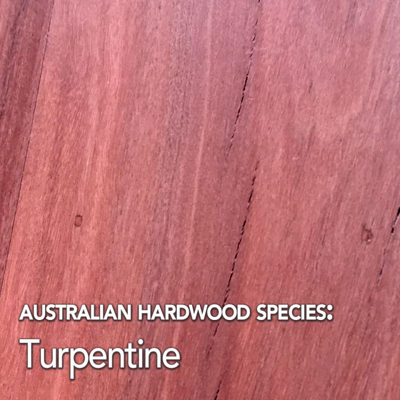 Turpentine: Australian Hardwood species swatch