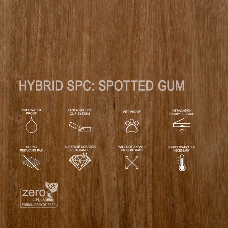 HybridSPC Spotted Gum Features